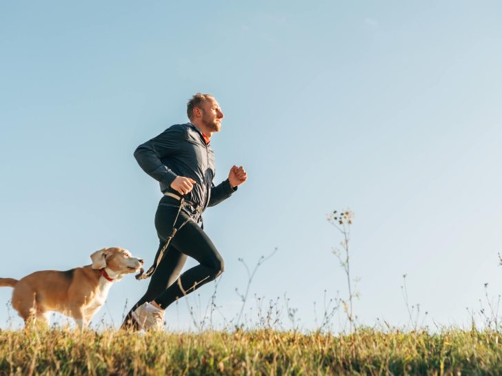 Canicross: Mit Hund gemeinsam laufen – alles Wichtige