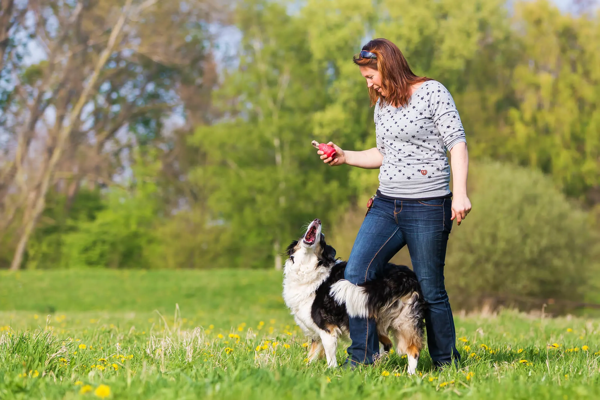 Frau macht Dog Dancing mit einem Border Collie