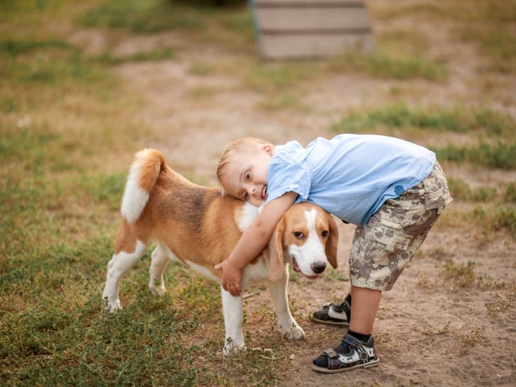 Hunde mit Down-Syndrom: Existiert Trisomie 21 bei Hunden?