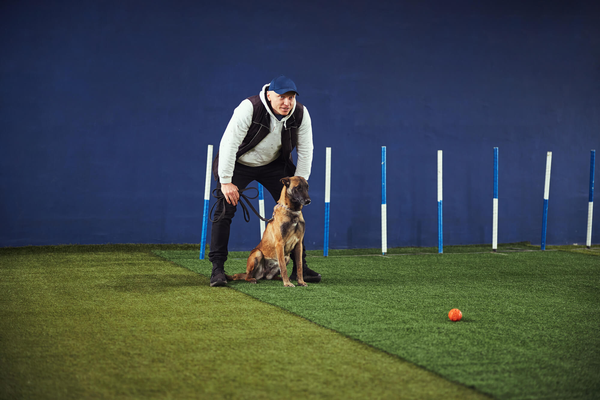 Rally Obedience: Eine aufregende Sportart für Hund und Mensch