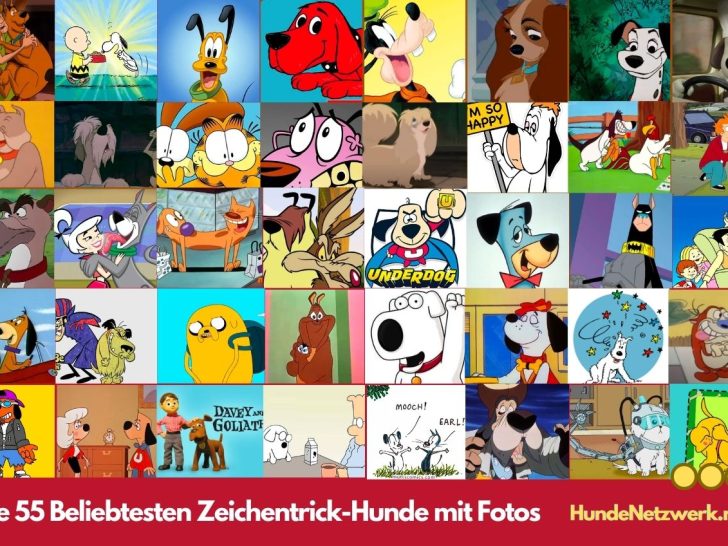 Hunde Comic: Die 55 Beliebtesten Zeichentrick-Hunde mit Fotos