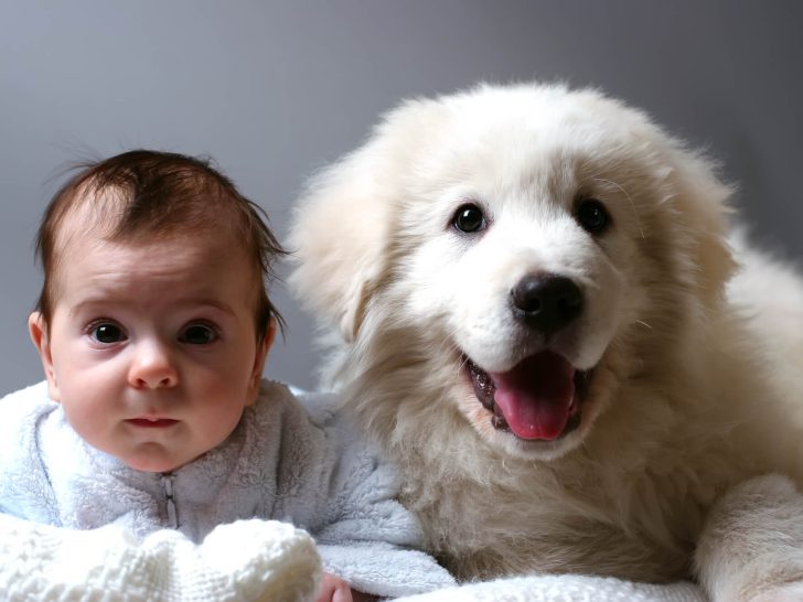 Hund und Baby: Vom Bauch bis zum Alltag (+Tipps & FAQ)