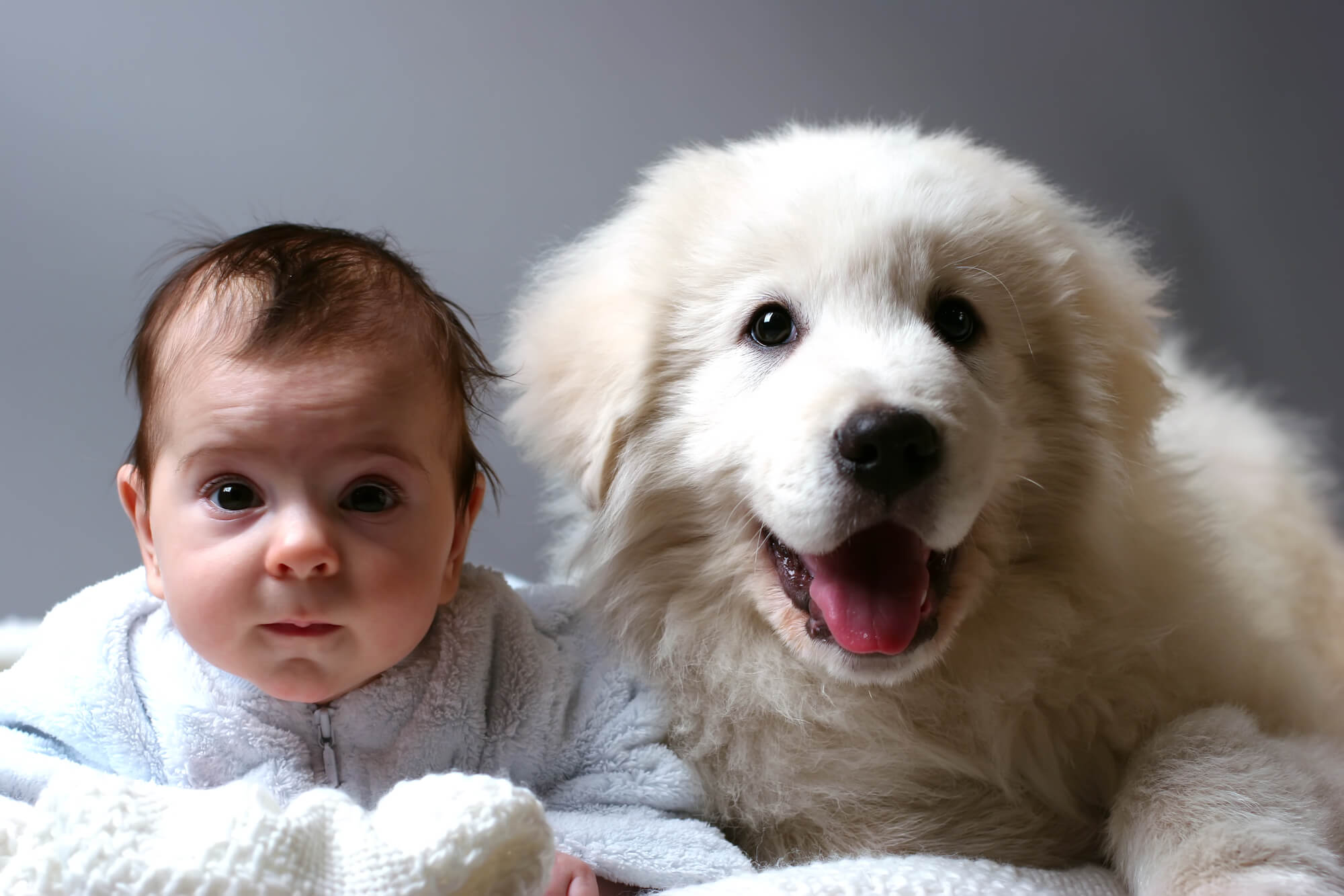 Hund und Baby: Vom Bauch bis zum Alltag (+Tipps & FAQ)